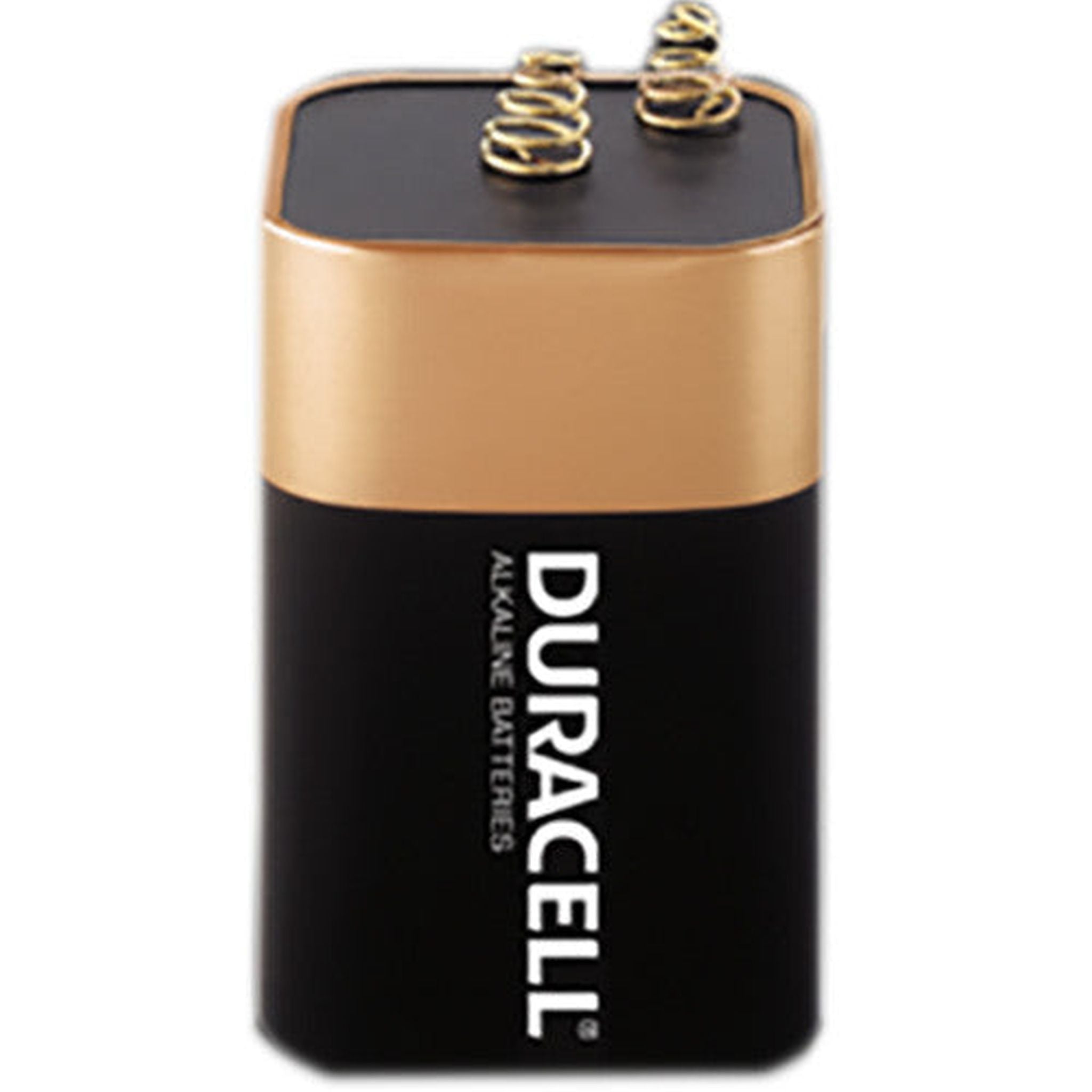 BATTERY ALKALINE 6V SIZE 6V