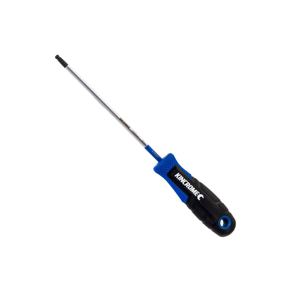 S/DRIVER HEX 100MM X 3MM