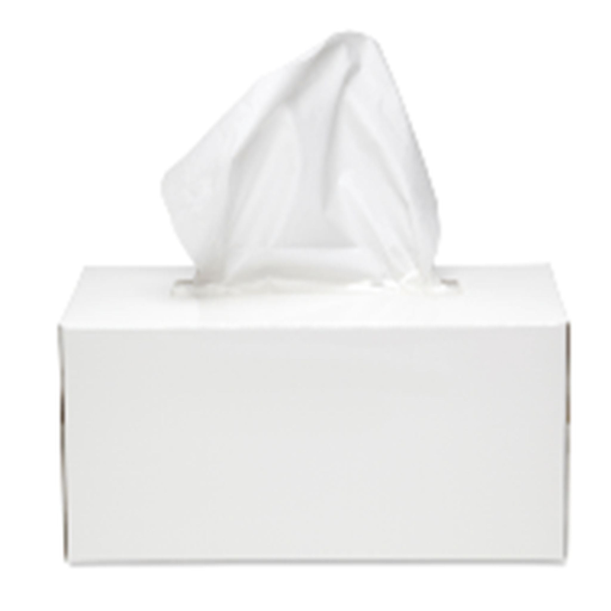 TISSUE BOX 100 SHEETS 