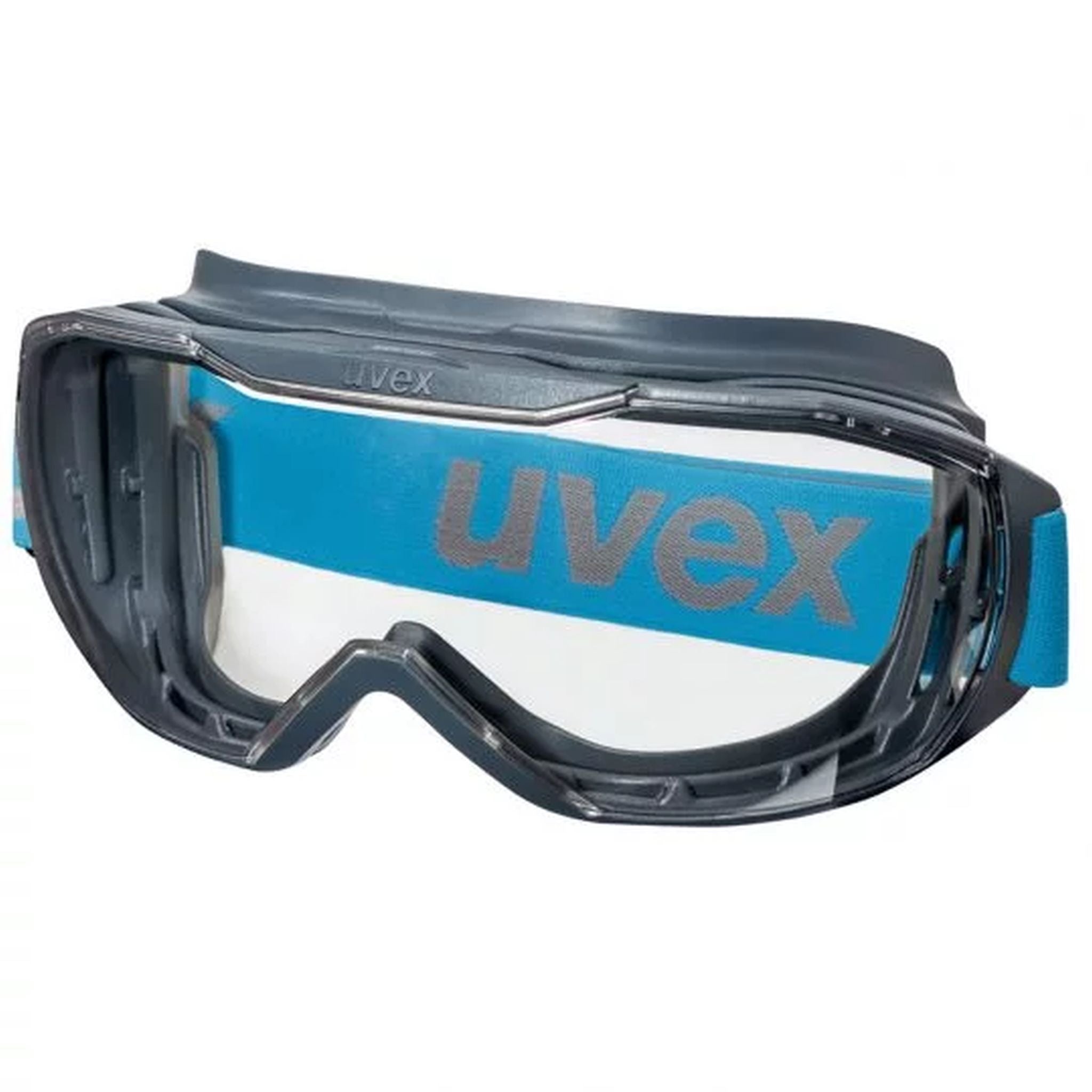 GOGGLE MEGASONIC CLEAR